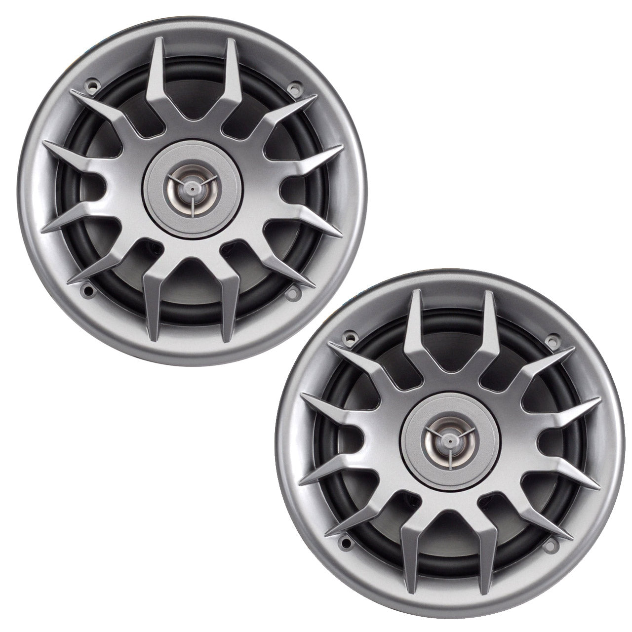 6.5" Marine Water-Resistant 2-Way Speaker