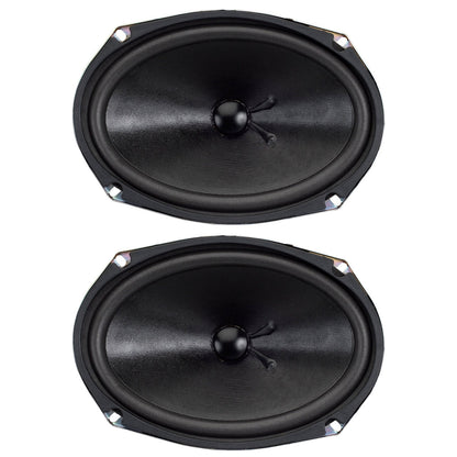 6" x 9" Oval Subwoofer