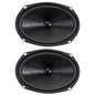 6" x 9" Oval Subwoofer